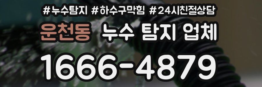 운천동 누수 탐지 업체