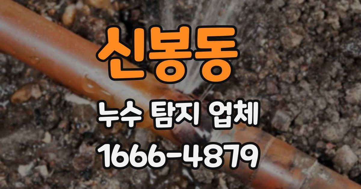 신봉동 누수 탐지 업체