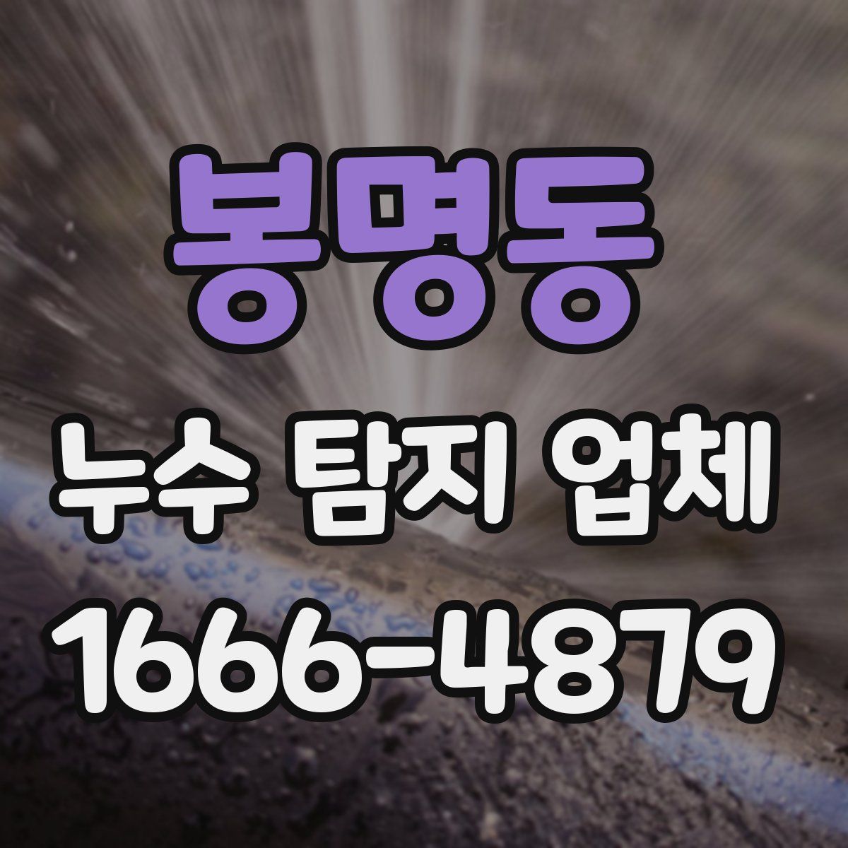 봉명동 누수 탐지 업체