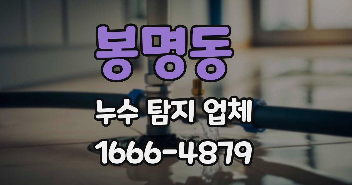 봉명동 누수 탐지 업체
