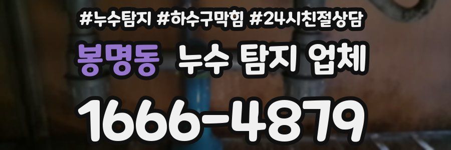 봉명동 누수 탐지 업체