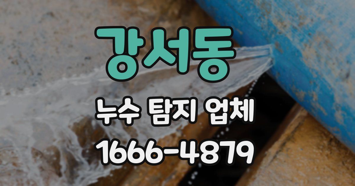 강서동 누수 탐지 업체