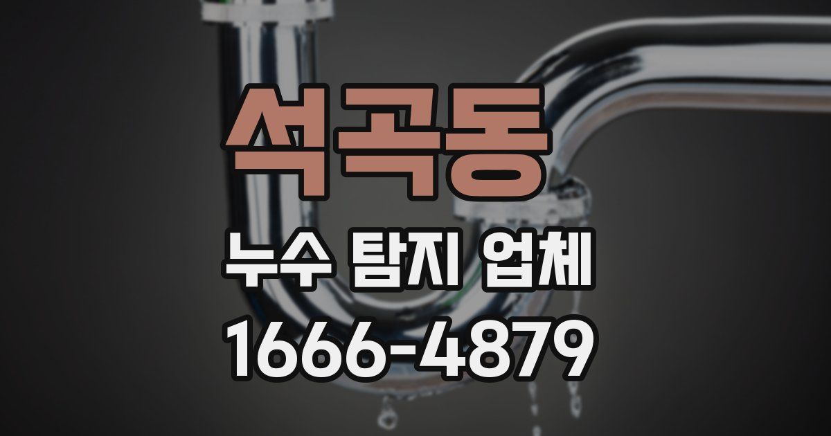 석곡동 누수 탐지 업체