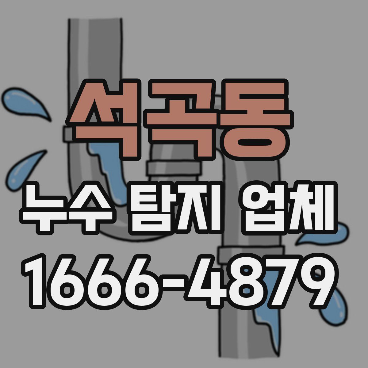 석곡동 누수 탐지 업체