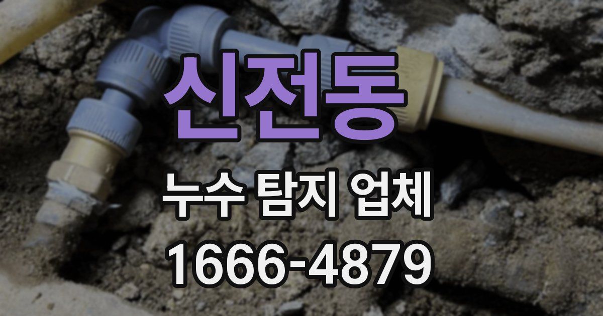 신전동 누수 탐지 업체