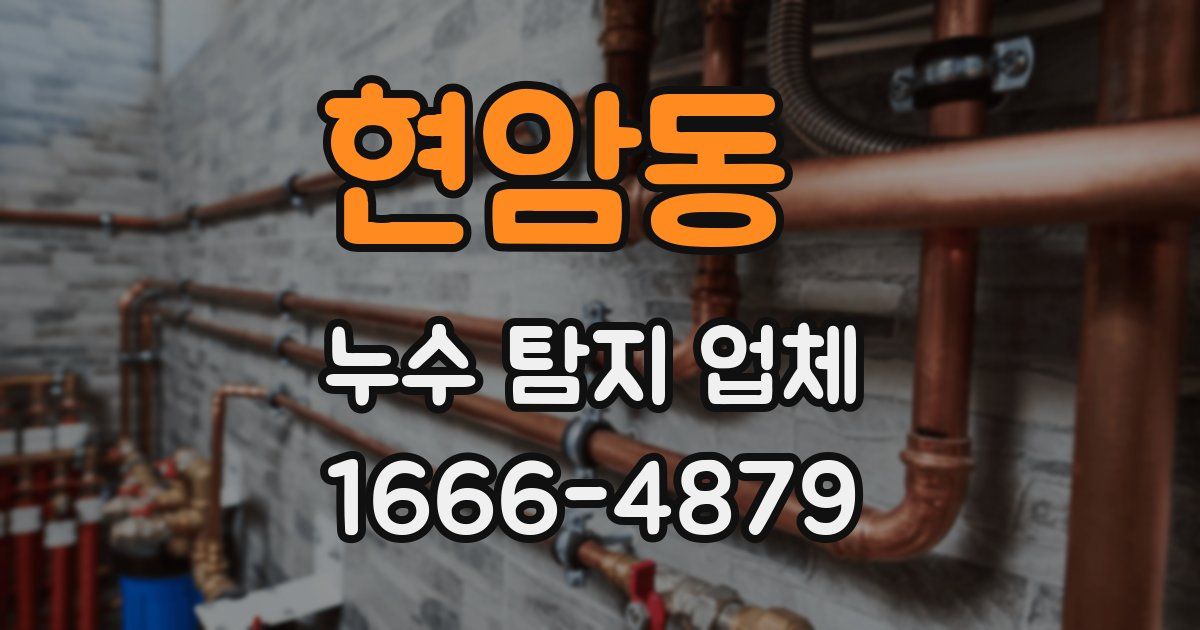 현암동 누수 탐지 업체