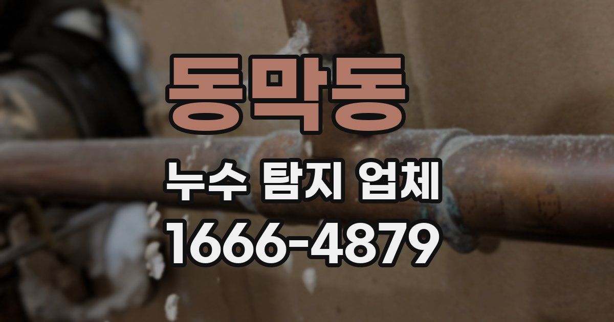 동막동 누수 탐지 업체