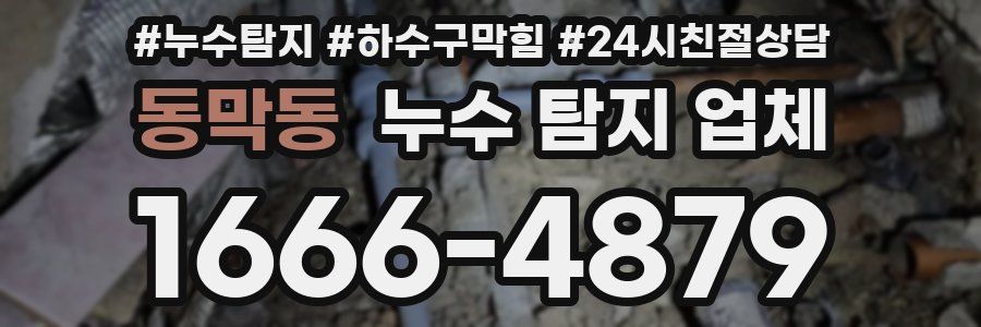 동막동 누수 탐지 업체