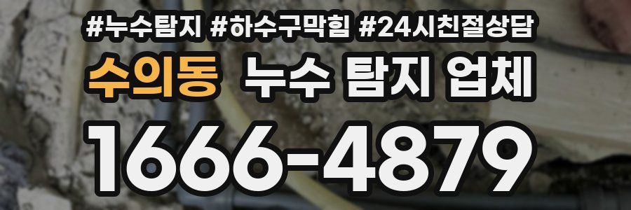 수의동 누수 탐지 업체