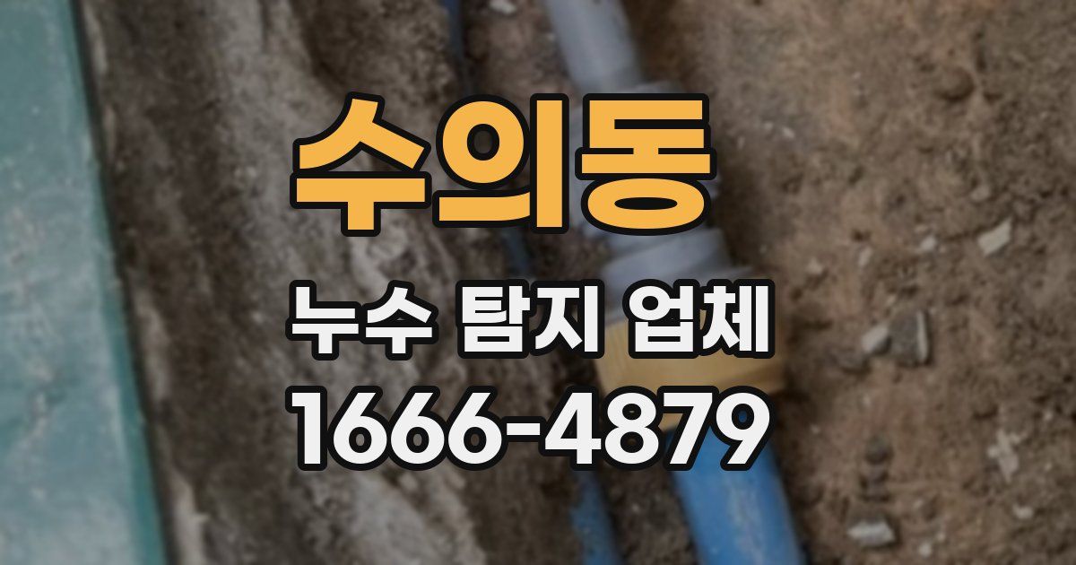 수의동 누수 탐지 업체