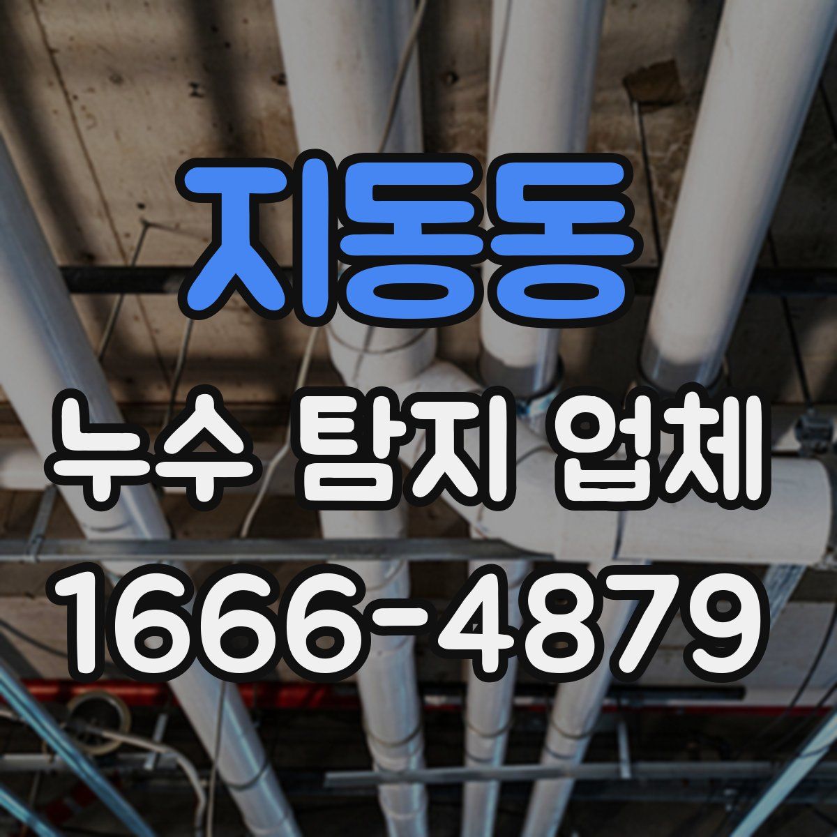 지동동 누수 탐지 업체