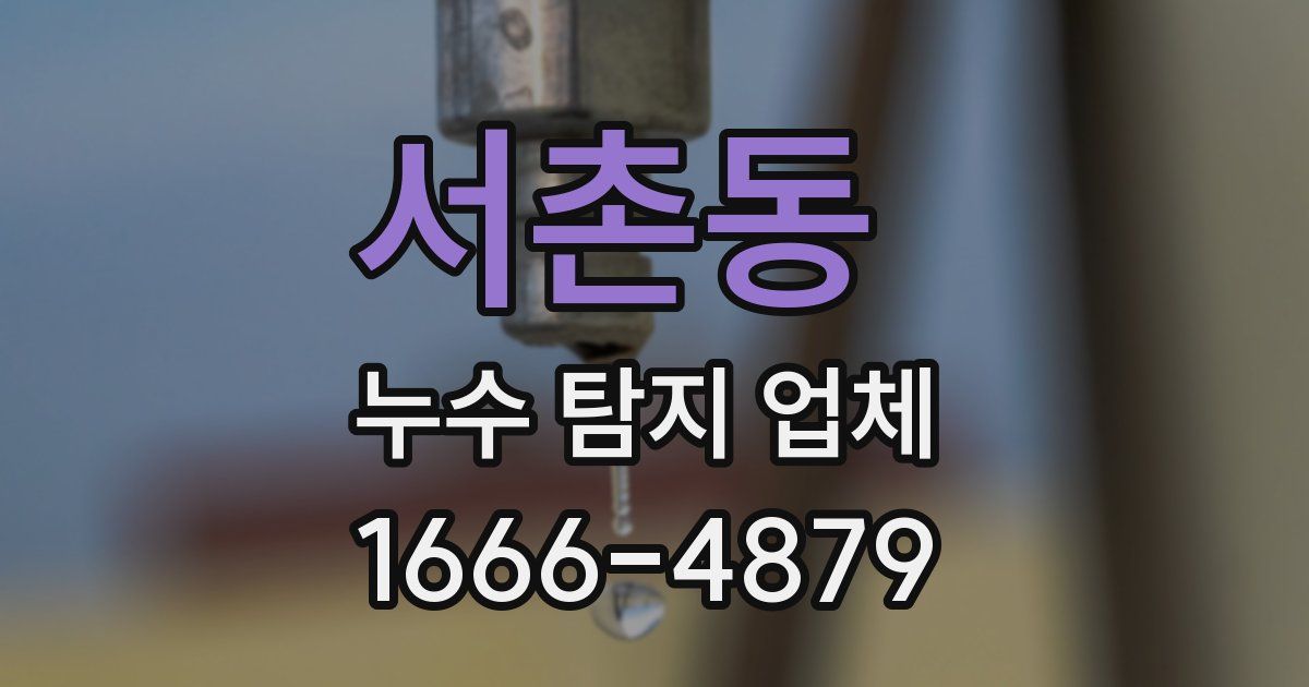서촌동 누수 탐지 업체