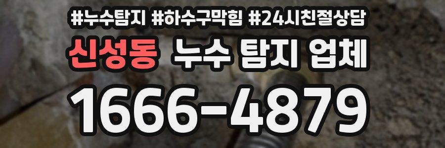 신성동 누수 탐지 업체