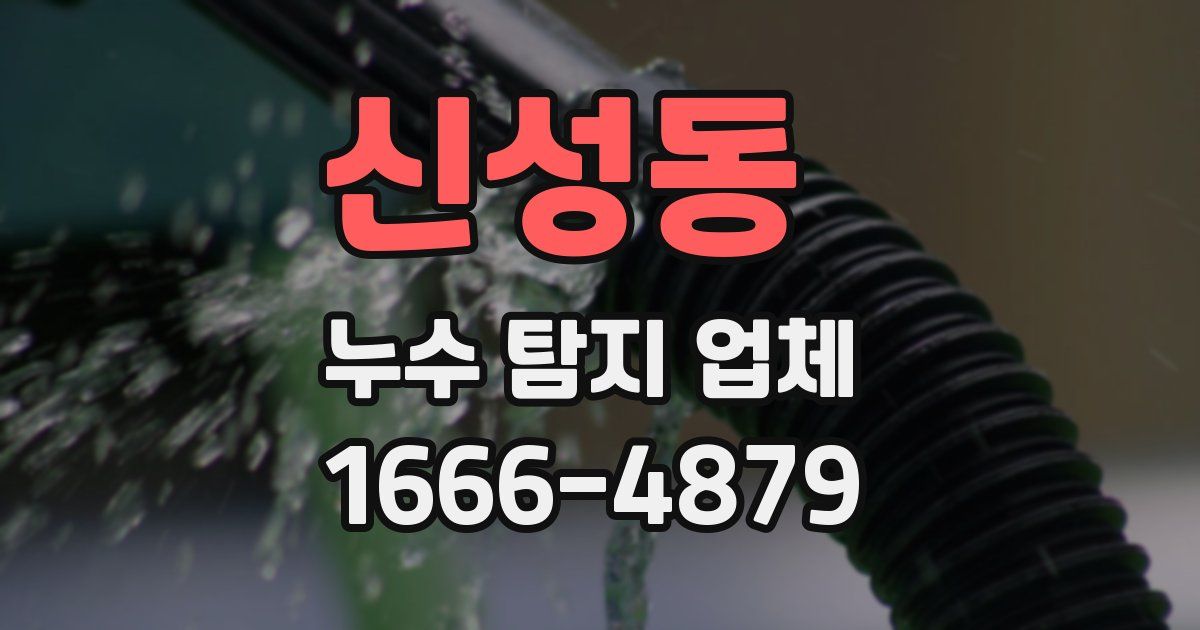 신성동 누수 탐지 업체