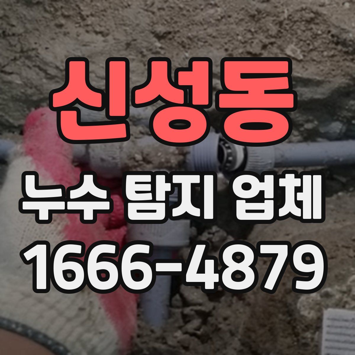 신성동 누수 탐지 업체
