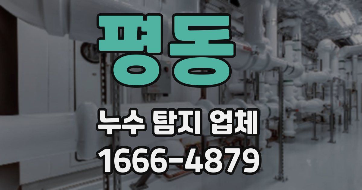 평동 누수 탐지 업체