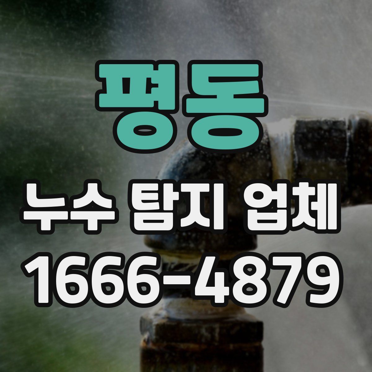 평동 누수 탐지 업체