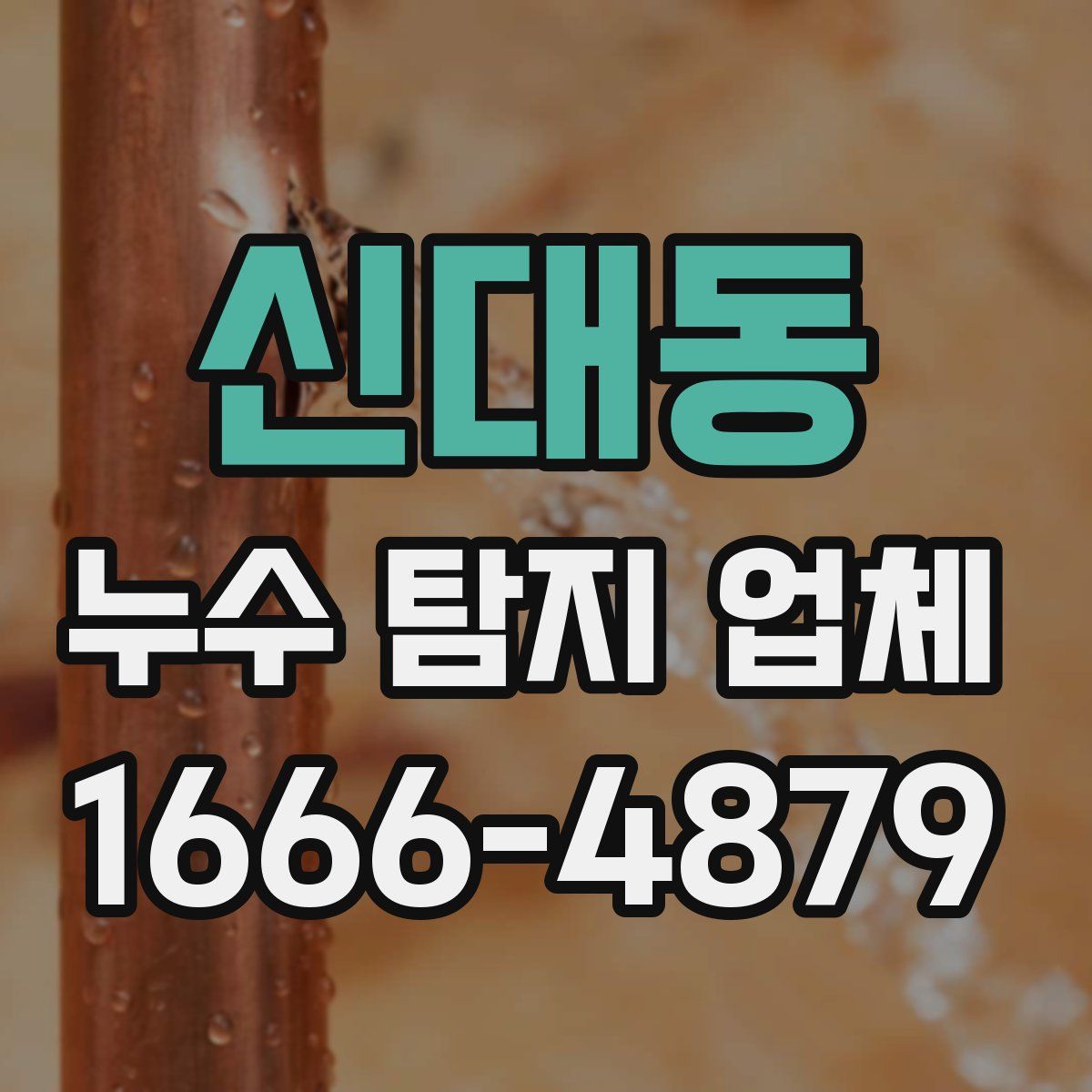 신대동 누수 탐지 업체