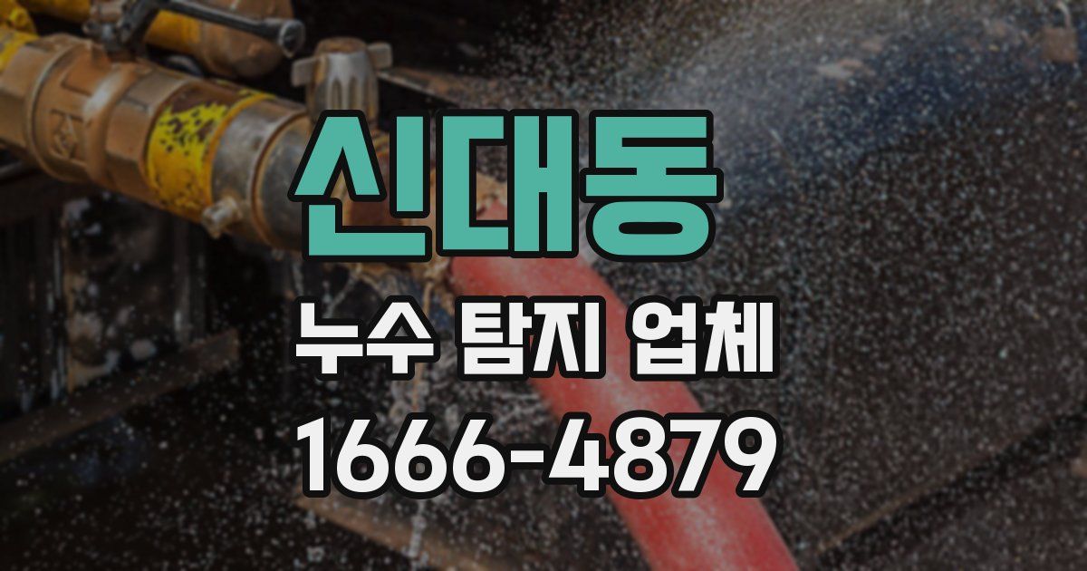 신대동 누수 탐지 업체
