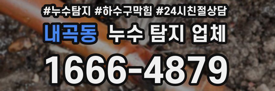 내곡동 누수 탐지 업체