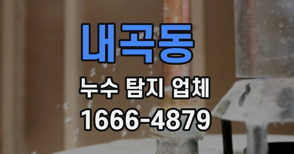 내곡동 누수 탐지 업체