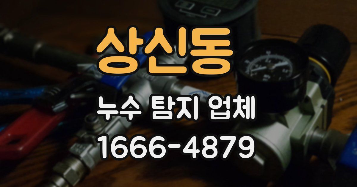 상신동 누수 탐지 업체
