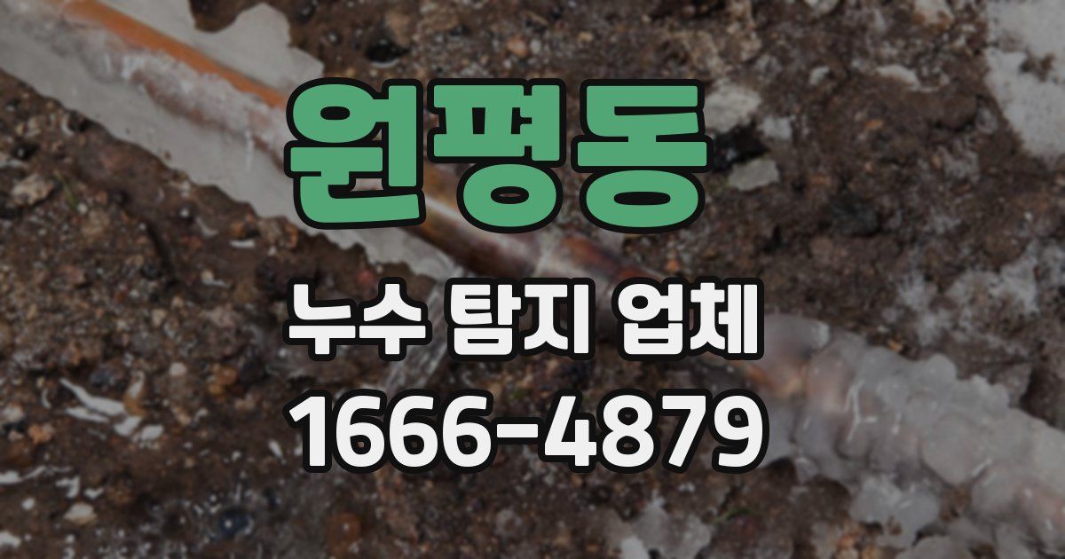 원평동 누수 탐지 업체