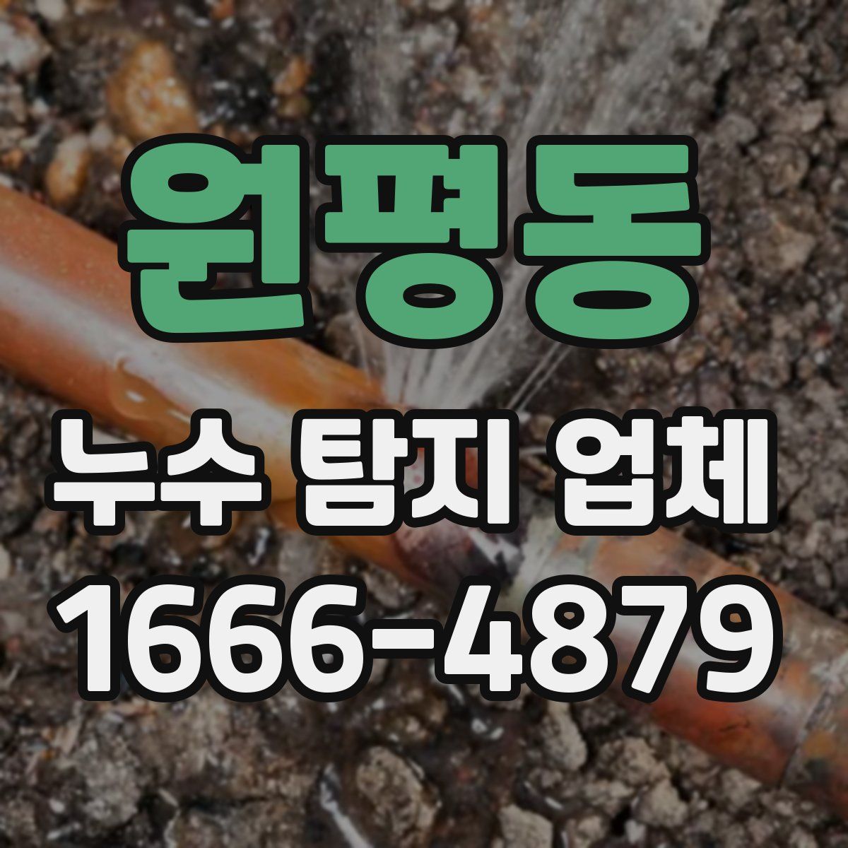 원평동 누수 탐지 업체