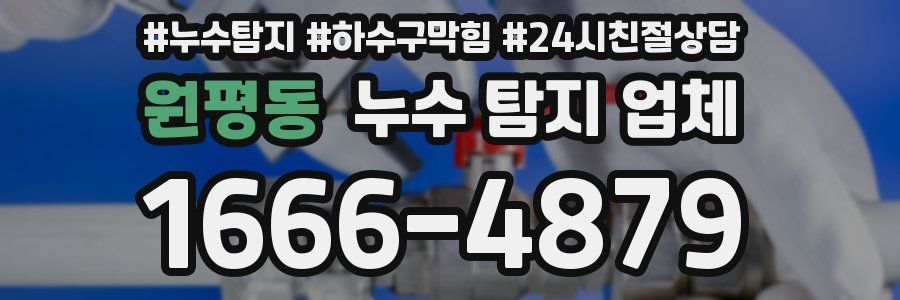 원평동 누수 탐지 업체