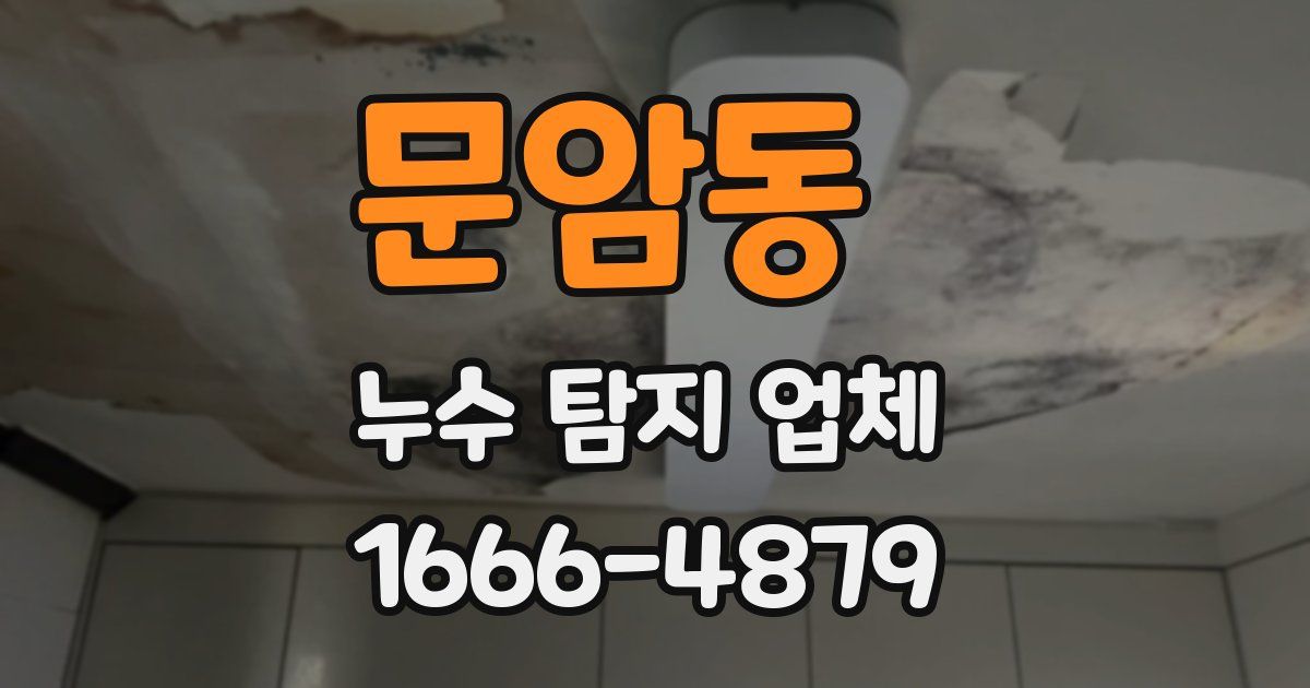 문암동 누수 탐지 업체