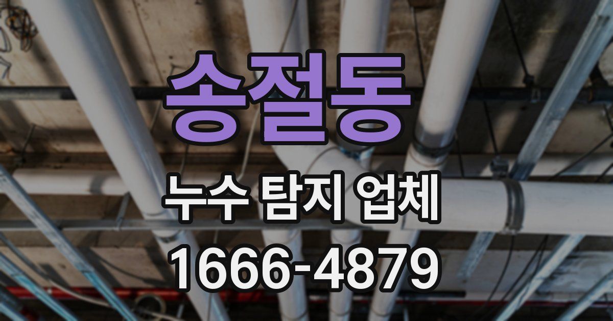 송절동 누수 탐지 업체