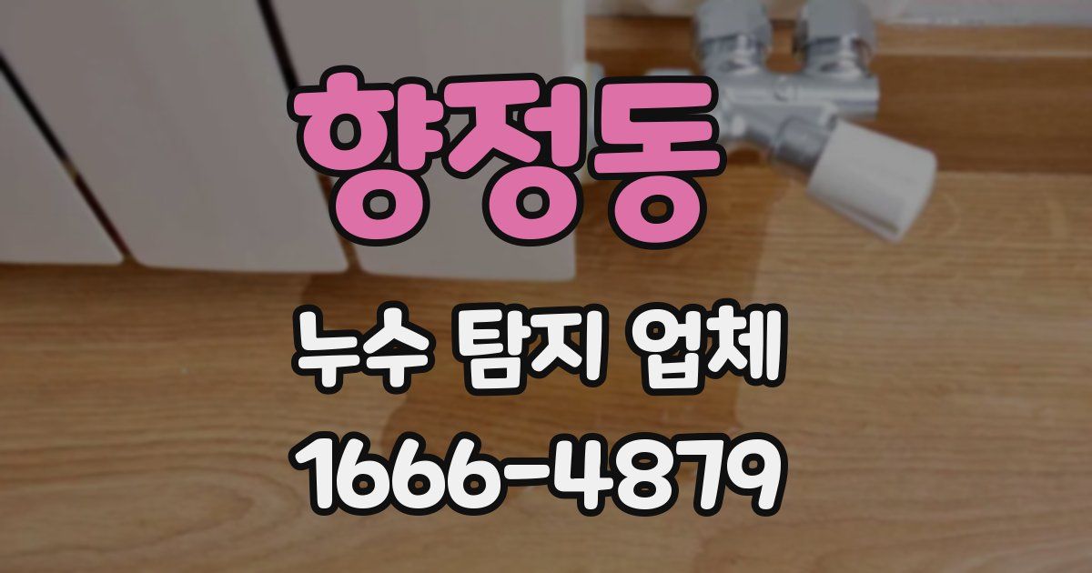 향정동 누수 탐지 업체