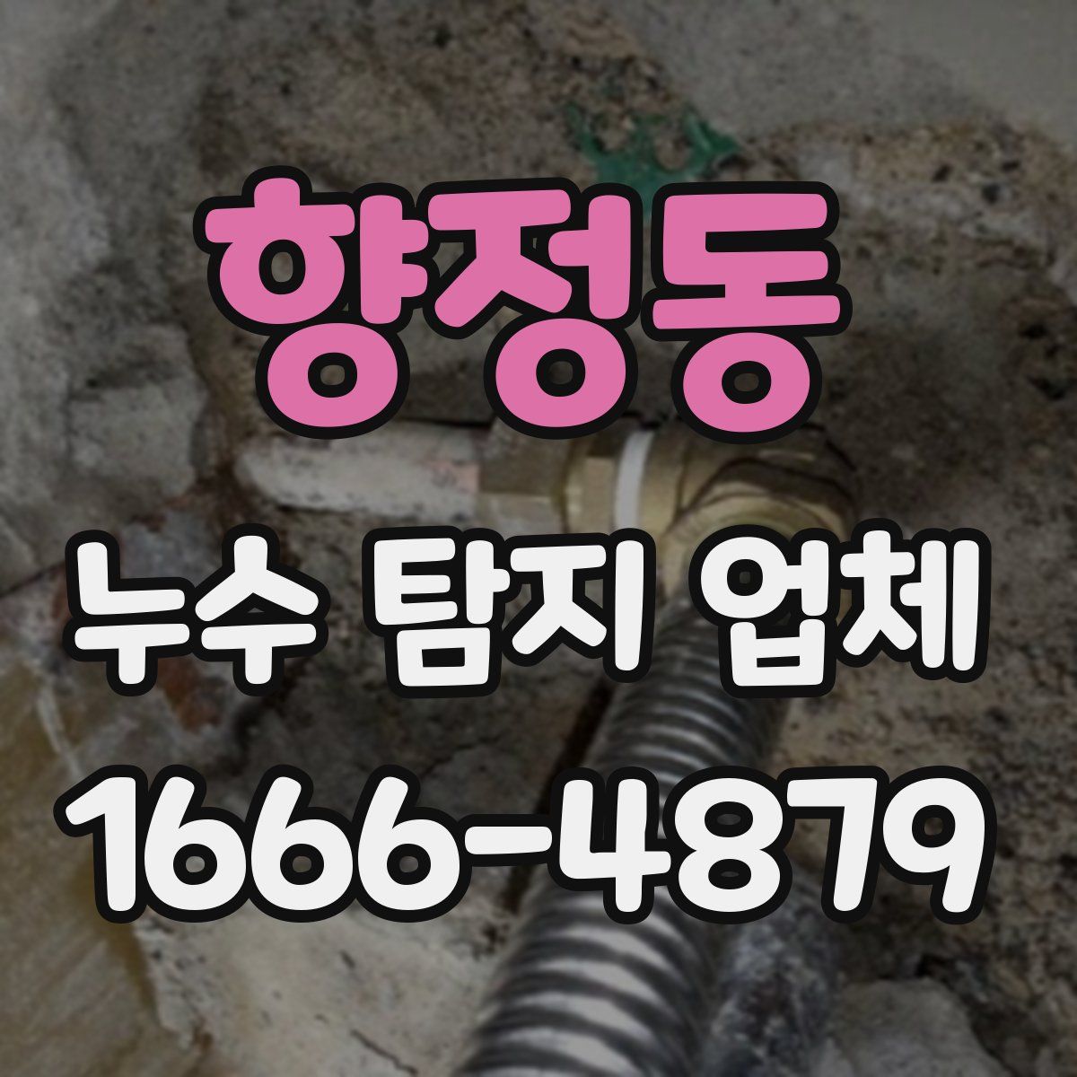 향정동 누수 탐지 업체