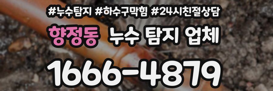 향정동 누수 탐지 업체