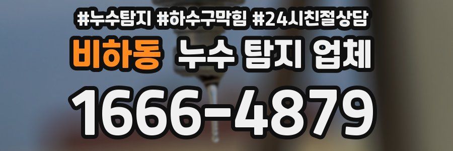 비하동 누수 탐지 업체