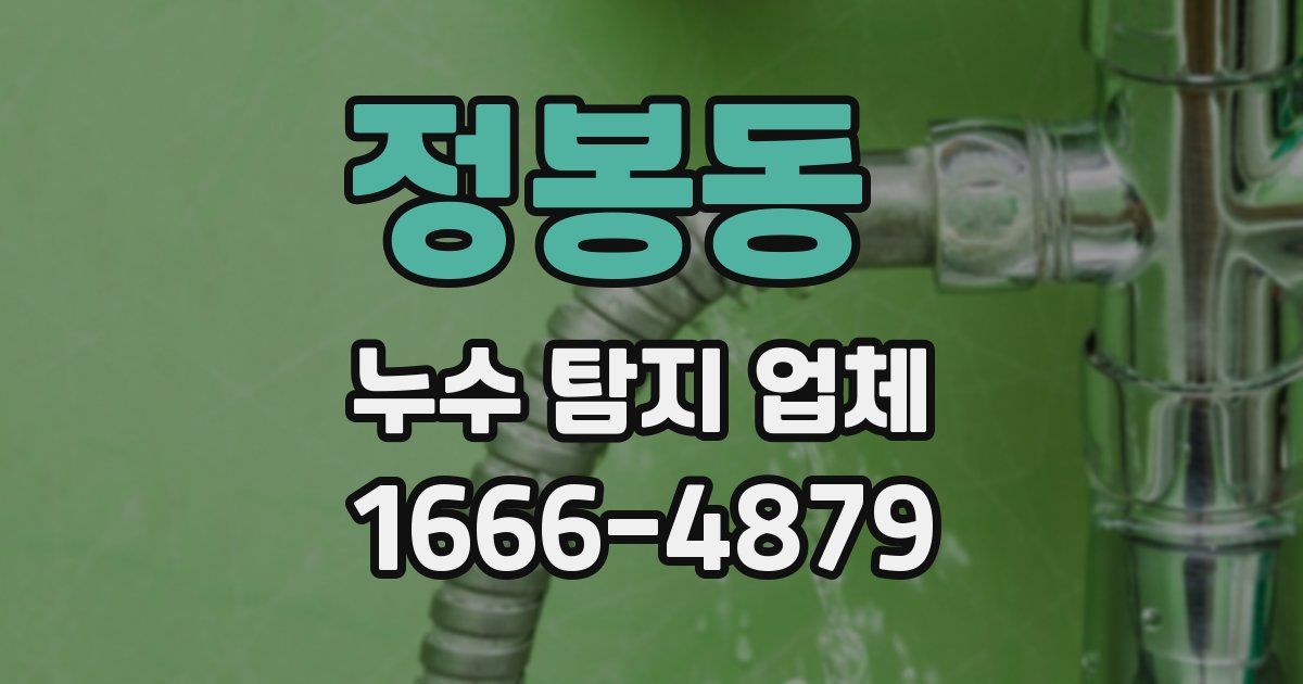 정봉동 누수 탐지 업체