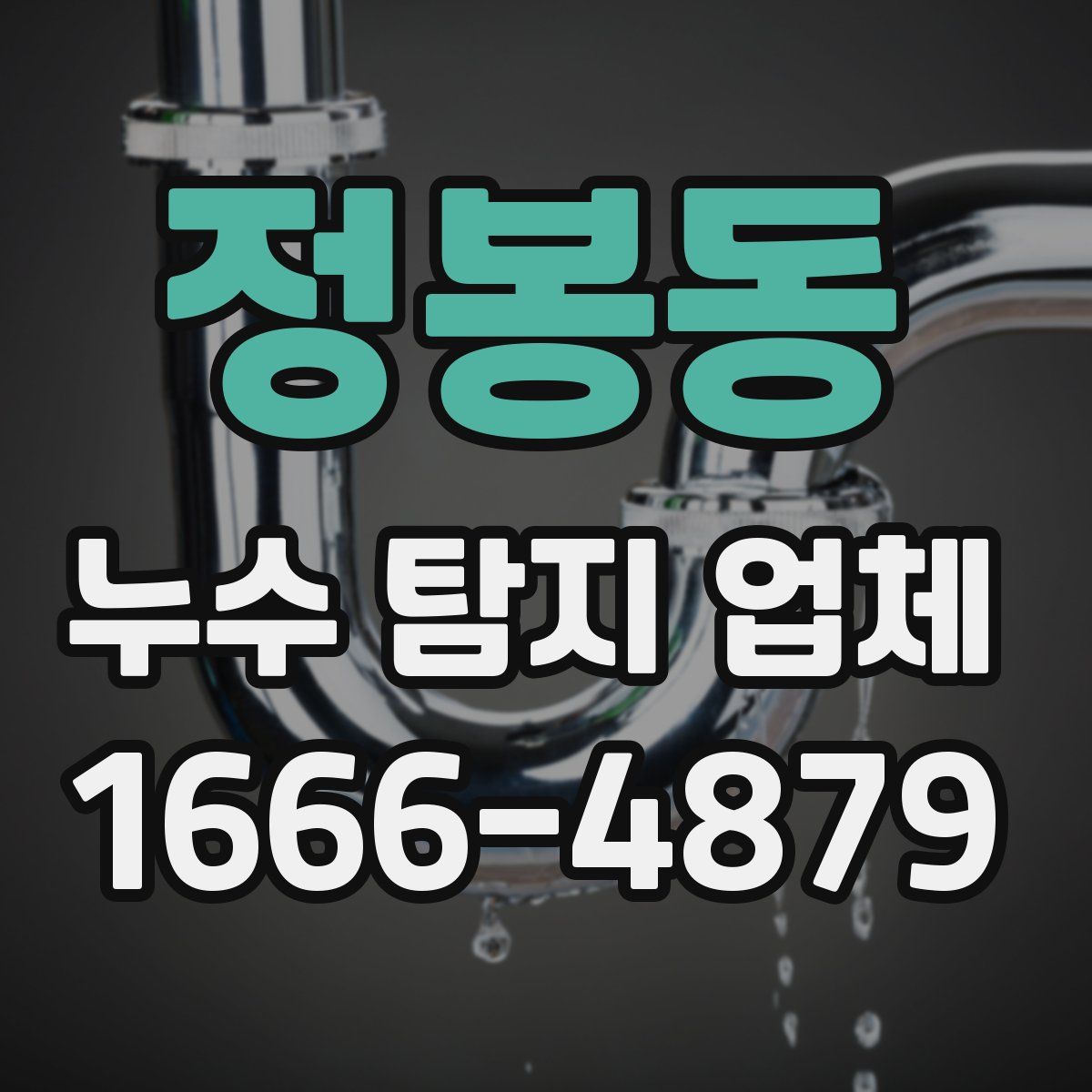 정봉동 누수 탐지 업체