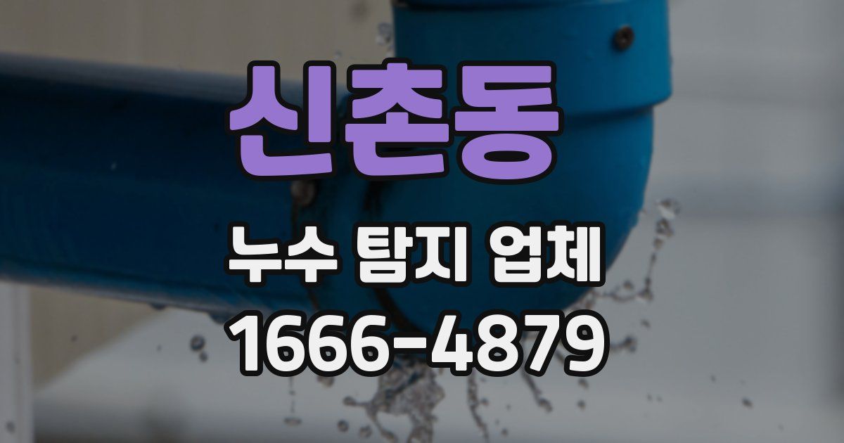 신촌동 누수 탐지 업체