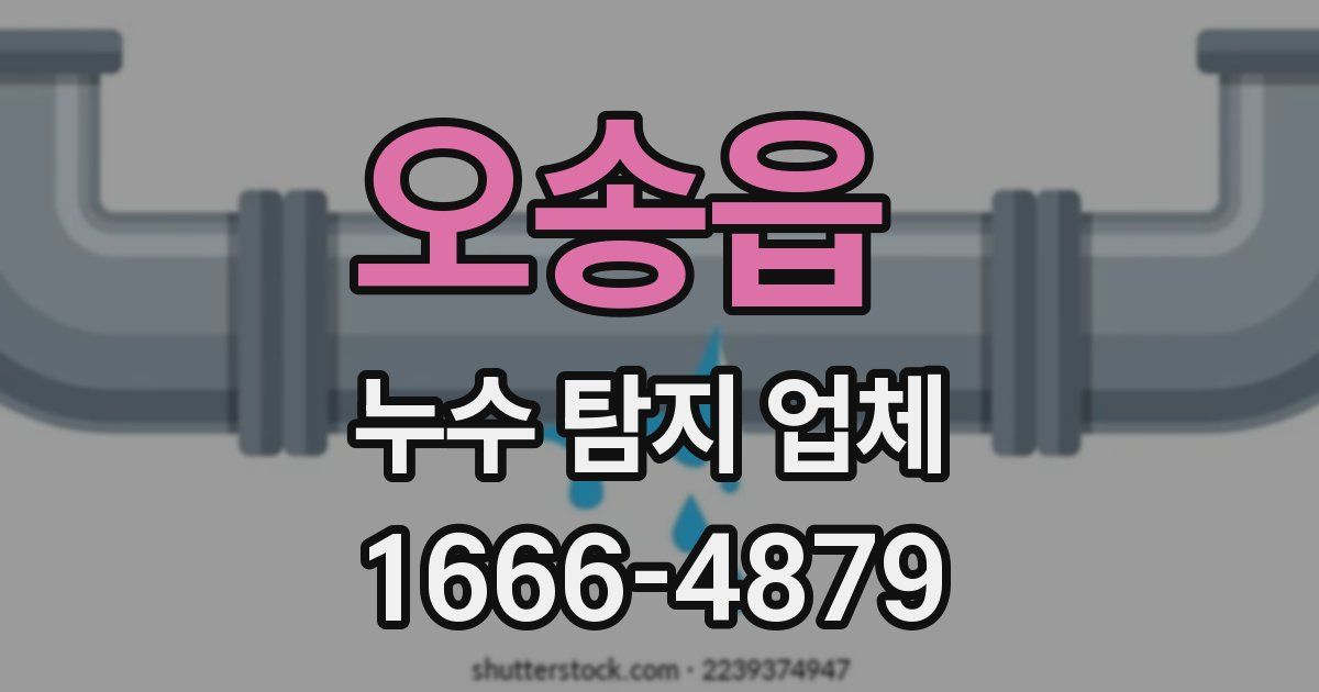 오송읍 누수 탐지 업체