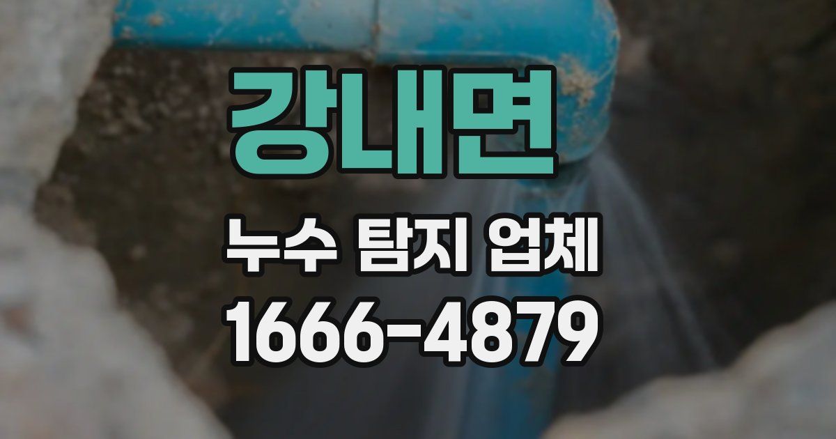 강내면 누수 탐지 업체