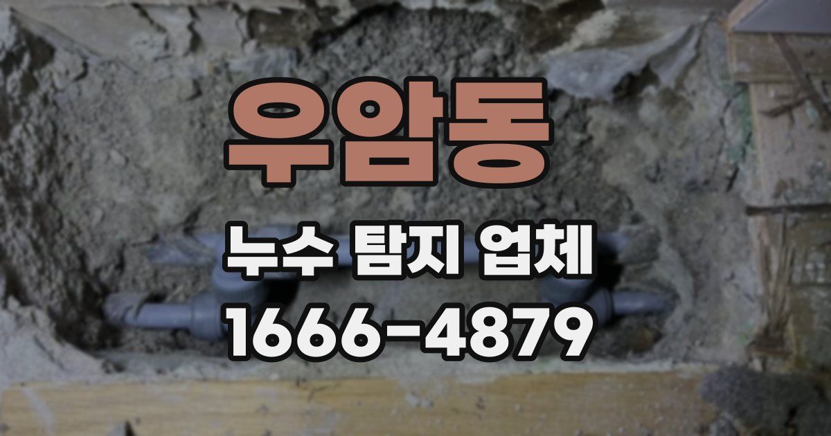 우암동 누수 탐지 업체