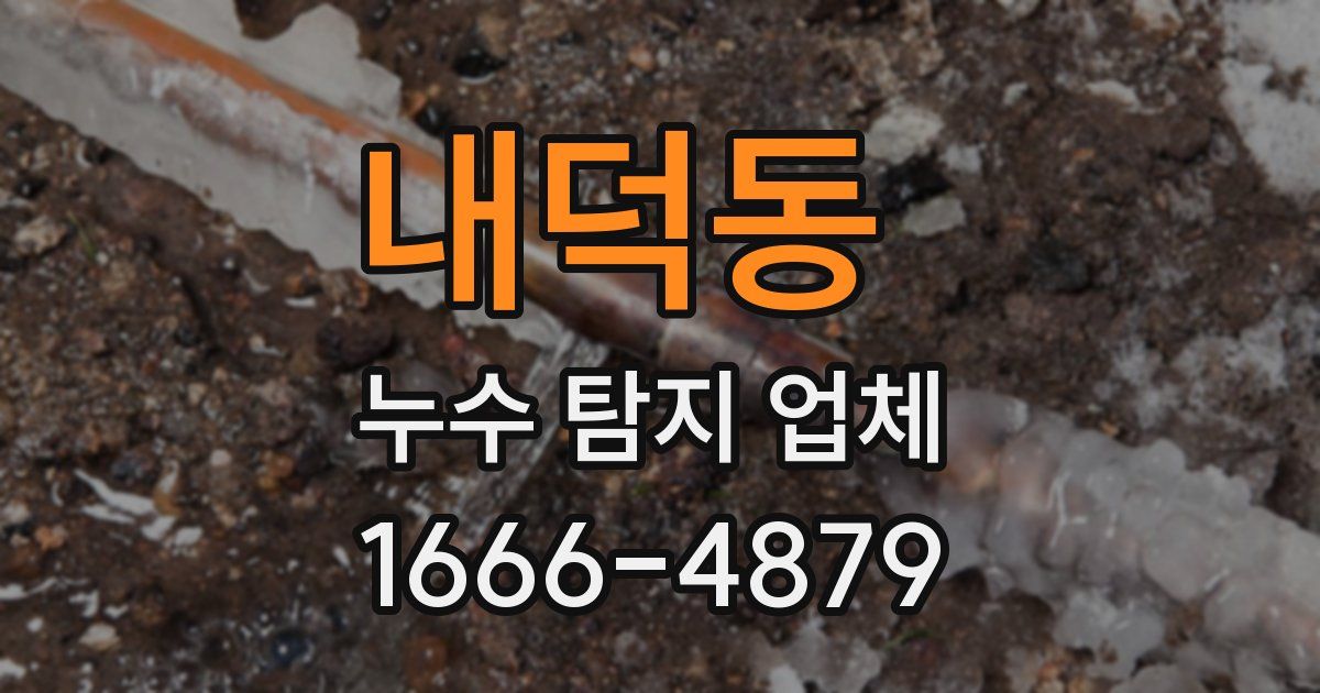 내덕동 누수 탐지 업체