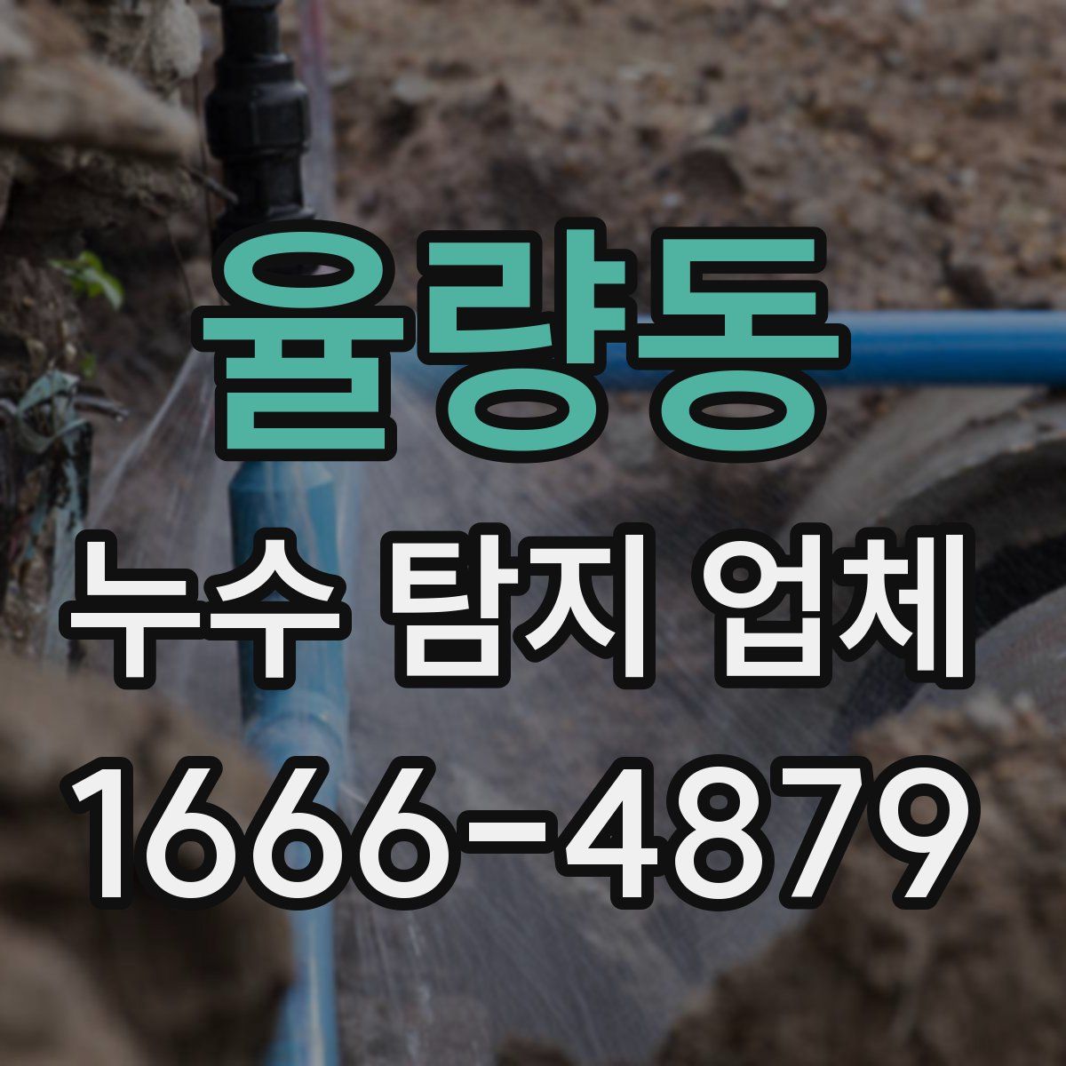 율량동 누수 탐지 업체