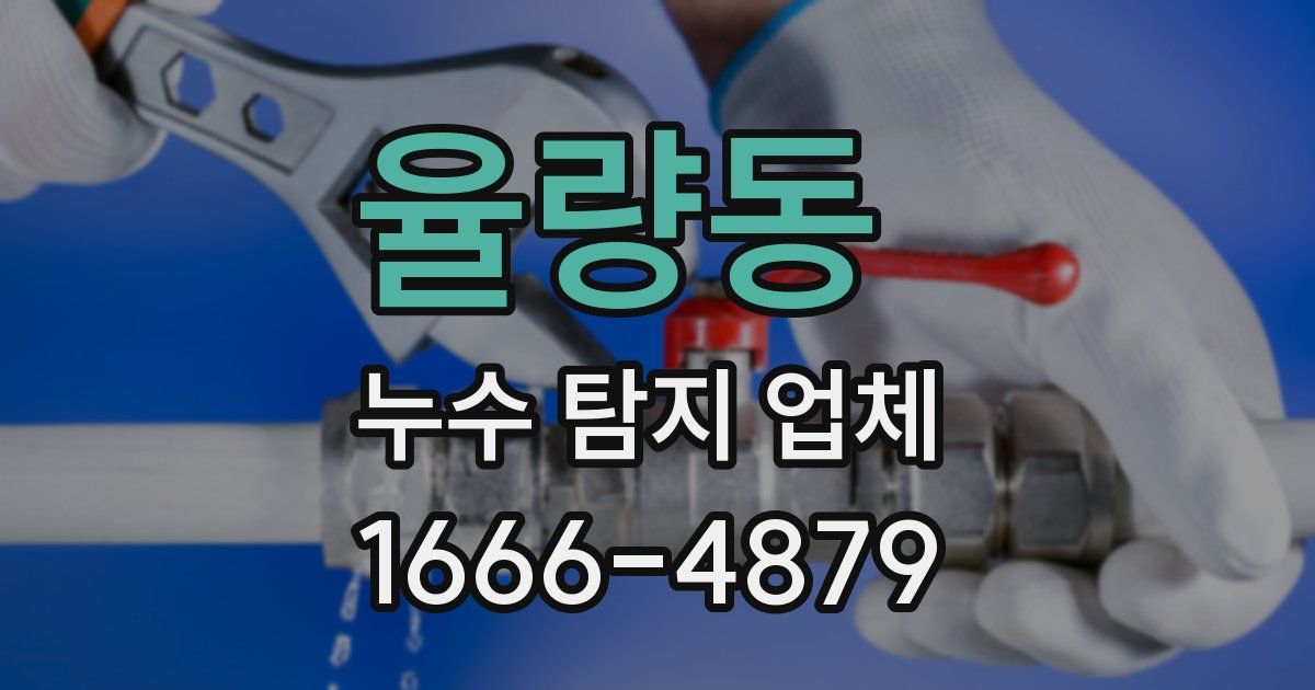 율량동 누수 탐지 업체