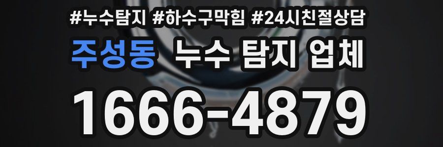 주성동 누수 탐지 업체