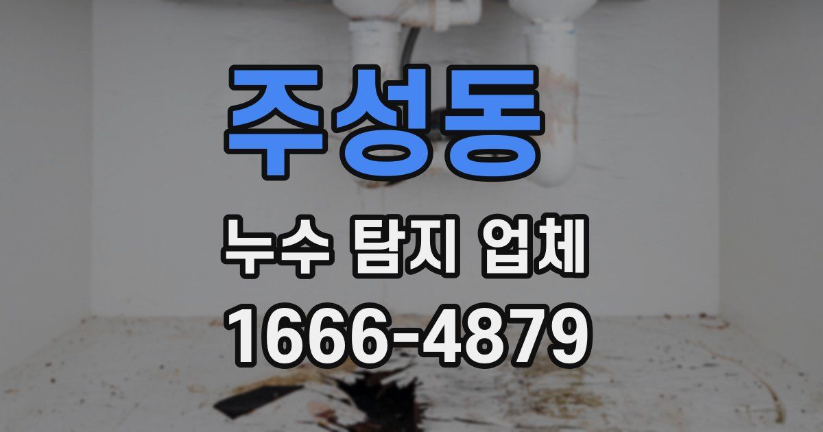 주성동 누수 탐지 업체