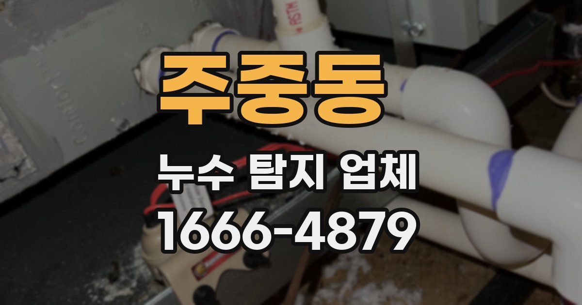 주중동 누수 탐지 업체