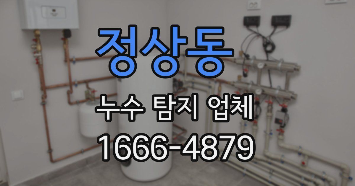 정상동 누수 탐지 업체
