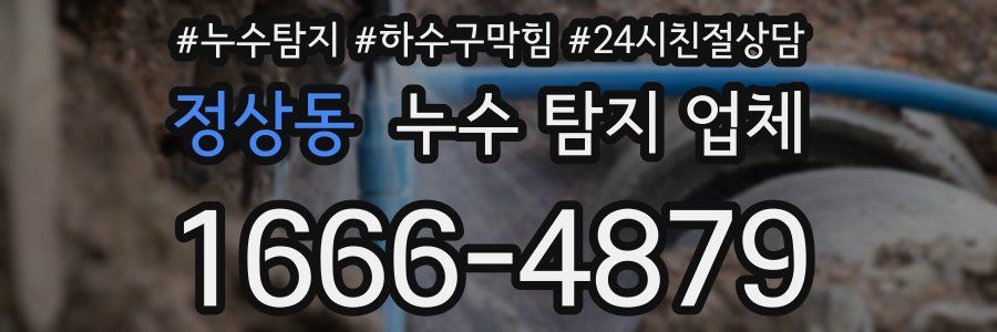 정상동 누수 탐지 업체