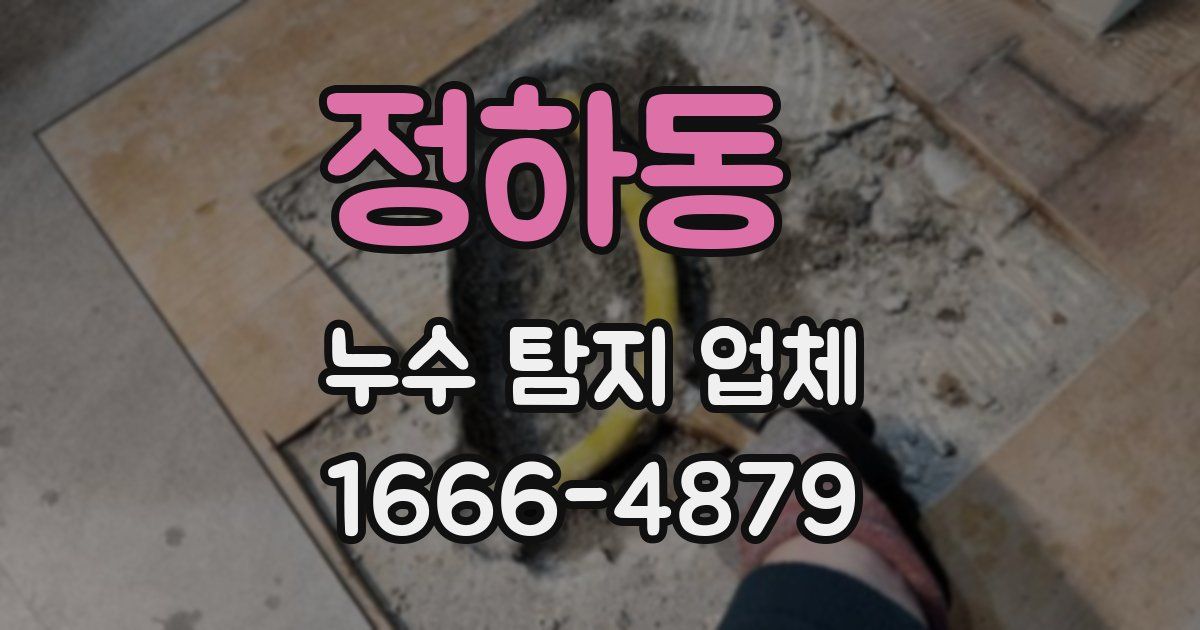 정하동 누수 탐지 업체